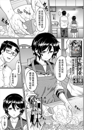 [磁力链][平野河重] 飼妹 (COMIC 夢幻転生 2022年12月号) [DL版]